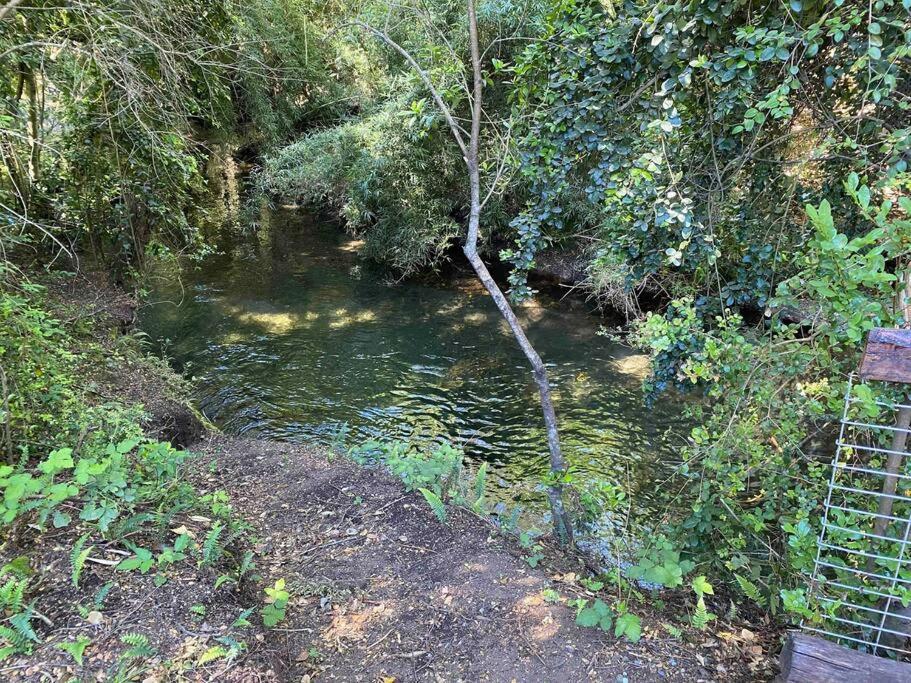 Acogedora cabaña al borde del Río Claro Villa Pucón Exterior foto