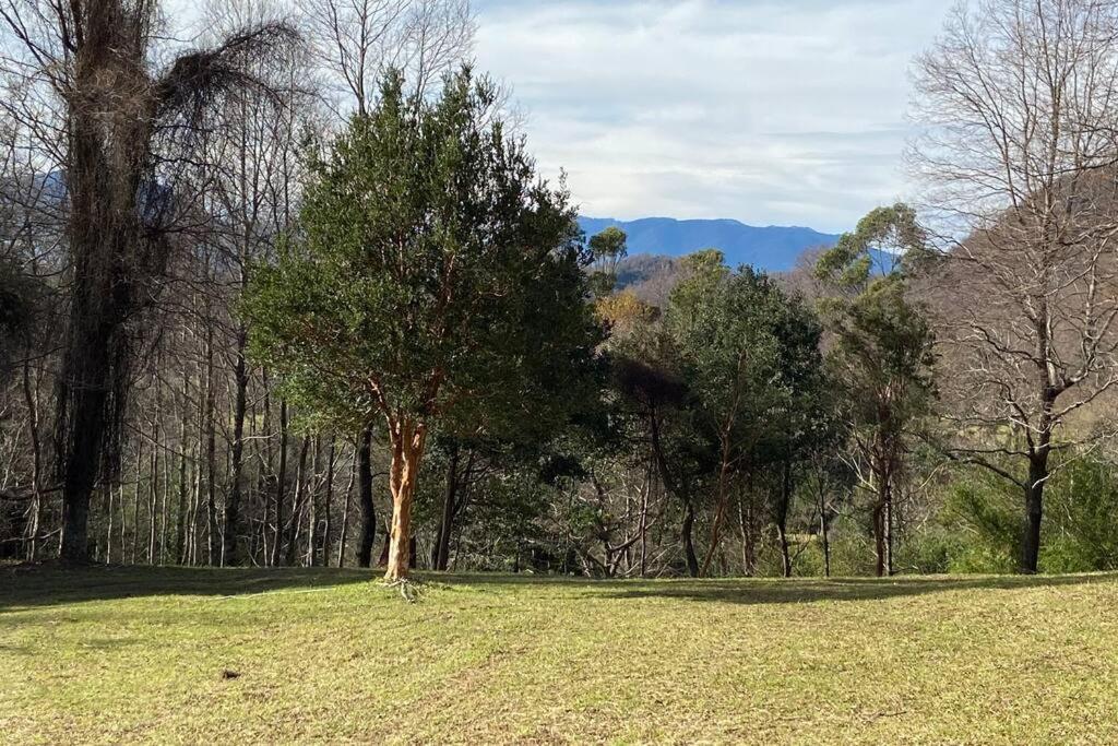 Acogedora cabaña al borde del Río Claro Villa Pucón Exterior foto