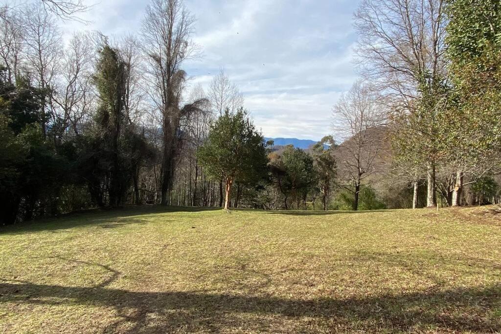 Acogedora cabaña al borde del Río Claro Villa Pucón Exterior foto